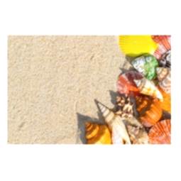 Kategori resimi Deniz Kabuk Kumları 100gr