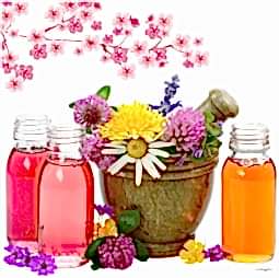 Kategori resimi Soya Mumu Soya Wax Koku Esansları 50 cc