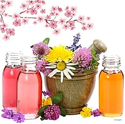 Kategori resimi Coconut Wax Koku Esansları 50 cc