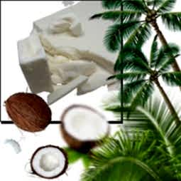 Kategori resimi Coconut Wax Mumu