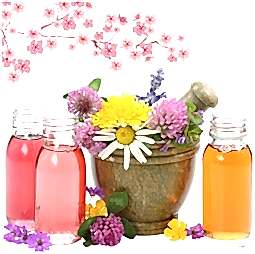 Kategori resimi Jel Mum Koku Esansları 50 cc