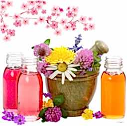 Kategori resimi Parafin Mumu Esansları 50 cc