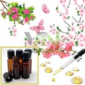 Resim Bahar Esintisi Mum Koku Esansı 250 cc '' 5 Adet 50 cc''