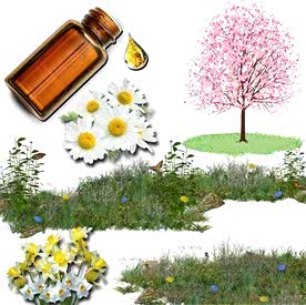 Resim Bahar Esintisi Mum  Koku Esansı 50 cc