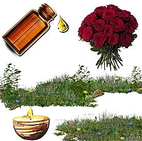 Resim Gül  Mum Koku Esansı 50 cc