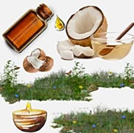 Resim Hindistan Cevizi  Mum Koku Esansı 50 cc