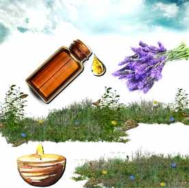 Resim Lavanta Mum Koku Esansı 50 cc