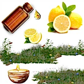 Resim Limon  Mum Koku Esansı 50 cc