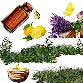 Resim Limonlu Lavanta Koku Esansı 50 cc 