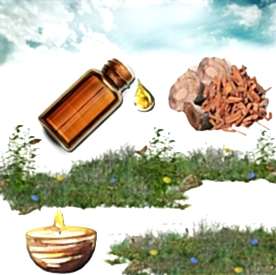 Resim Sandal Ağacı Mum Koku Esansı 50 cc 