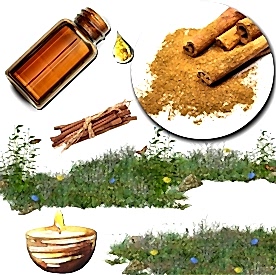 Resim Tarçınlı Vanilya  Mum Koku Esansı 50 cc