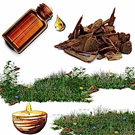 Resim Oud Wood (Ud Ağacı) Mum Koku Esansı 50 cc