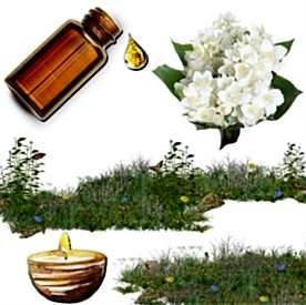 Resim Yasemin Mum Koku Esansı 50 cc