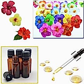 Resim Amber Mum Koku Esansı 250 cc “5 Adet 50 cc”