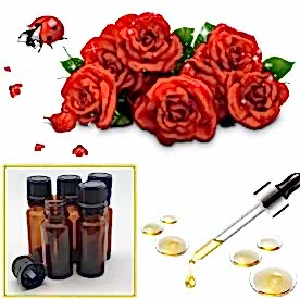 Resim Gül Mum Koku Esansı 250 cc “5 Adet 50 cc”