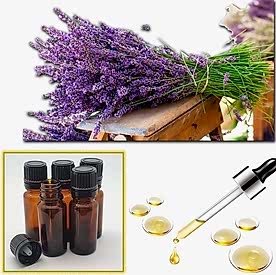 Resim Lavanta Mum Koku Esansı 250 cc “5 Adet 50 cc”