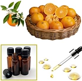 Resim Portakal Mum Koku Esansı 250 cc “5 Adet 50 cc”