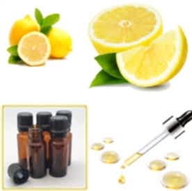 Resim Limon  Mum Koku Esansı 250 cc ''5 adet 50 cc''