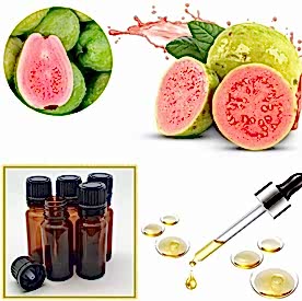 Resim Guayaba Karışık Meyve Mum Koku Esansı 250 cc “5 Adet 50 cc”