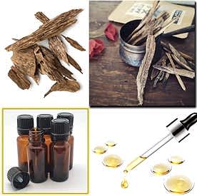 Resim Oud Wood (Ud Ağacı) Mum Koku Esansı 250 cc “5 Adet 50 cc”