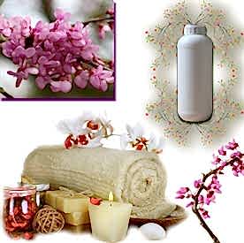 Resim Erguvan Mum Koku Esansı 1 Kg 