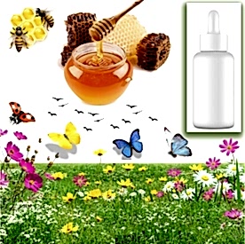 Resim Bal  Sabun Koku Esansı 10 cc