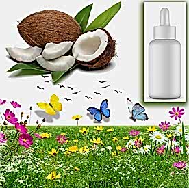 Resim Hindistan Cevizi Sabun Koku Esansı 10 cc