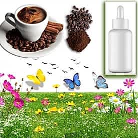 Resim Kahve Sabun Koku Esansı 10 cc