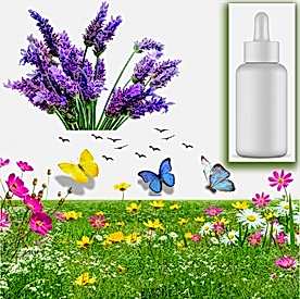 Resim Lavanta  Sabun Koku Esansı 10 cc