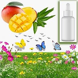 Resim Mango Sabun Koku Esansı 10 cc