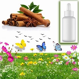 Resim Tarçın Sabun Koku Esansı 10 cc