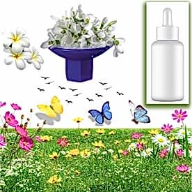 Resim Yasemin Sabun Koku Esansı 10 cc