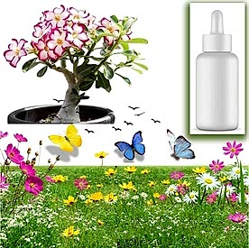 Resim Desert Rose (Çöl Gülü) Sabun Koku Esansı 10 cc