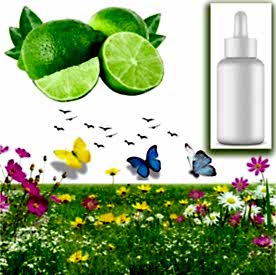 Resim Yeşil Limon Sabun Koku Esansı 10 cc