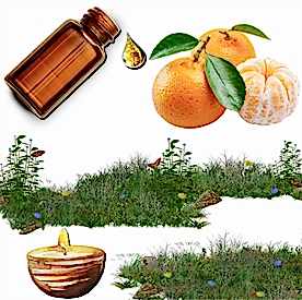 Resim Mandalina Mum Koku Esansı 50 cc