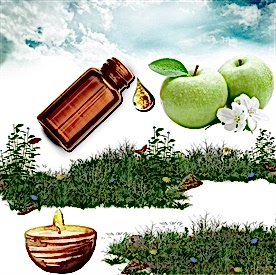 Resim Yeşil Elma  Mum Koku Esansı 50 cc