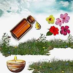 Kategori resimi Soya Mumu Soya Wax Koku Esansları 30 cc