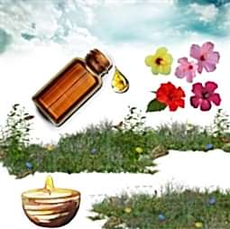 Kategori resimi Coconut Wax Koku Esansları 30 cc