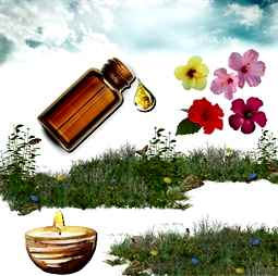 Kategori resimi Jel Mum Koku Esansları 30cc