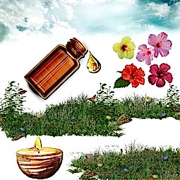 Kategori resimi Parafin Mumu Esansları 30 cc