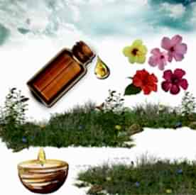 Resim Amber  Mum Koku Esansı 30 cc