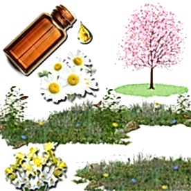 Resim Bahar Esintisi Mum Koku Esansı 30 cc