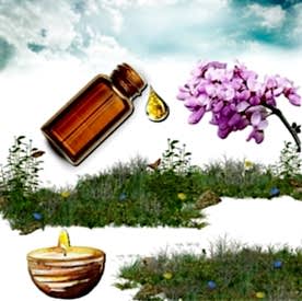 Resim Erguvan Mum  Koku Esansı 30 cc