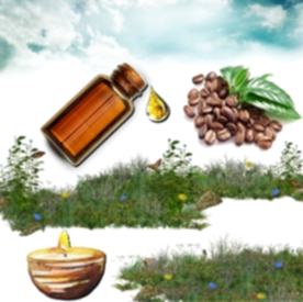 Resim Kahve Mum Koku Esansı 30 cc