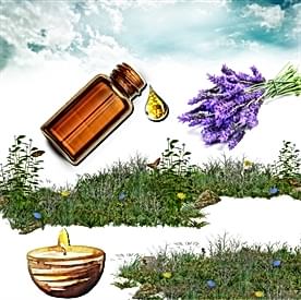 Resim Lavanta Mum Koku Esansı 30 cc