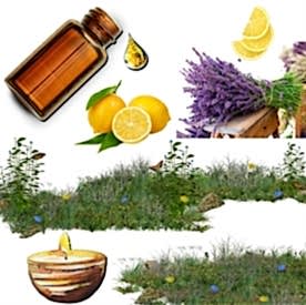 Resim Limonlu Lavanta Mum Koku Esansı 30 cc