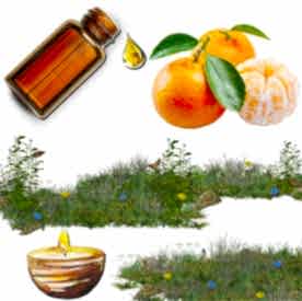 Resim Mandalina Mum Koku Esansı 30 cc