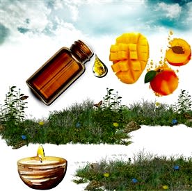 Resim Mango&Şeftali Mum Koku Esansı 30 cc