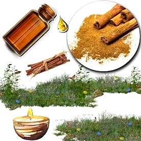 Resim Tarçınlı Vanilya Mum Koku Esansı 30 cc