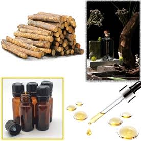 Resim Odunsu Mum Koku Esansı 250 cc “5 Adet 50 cc”